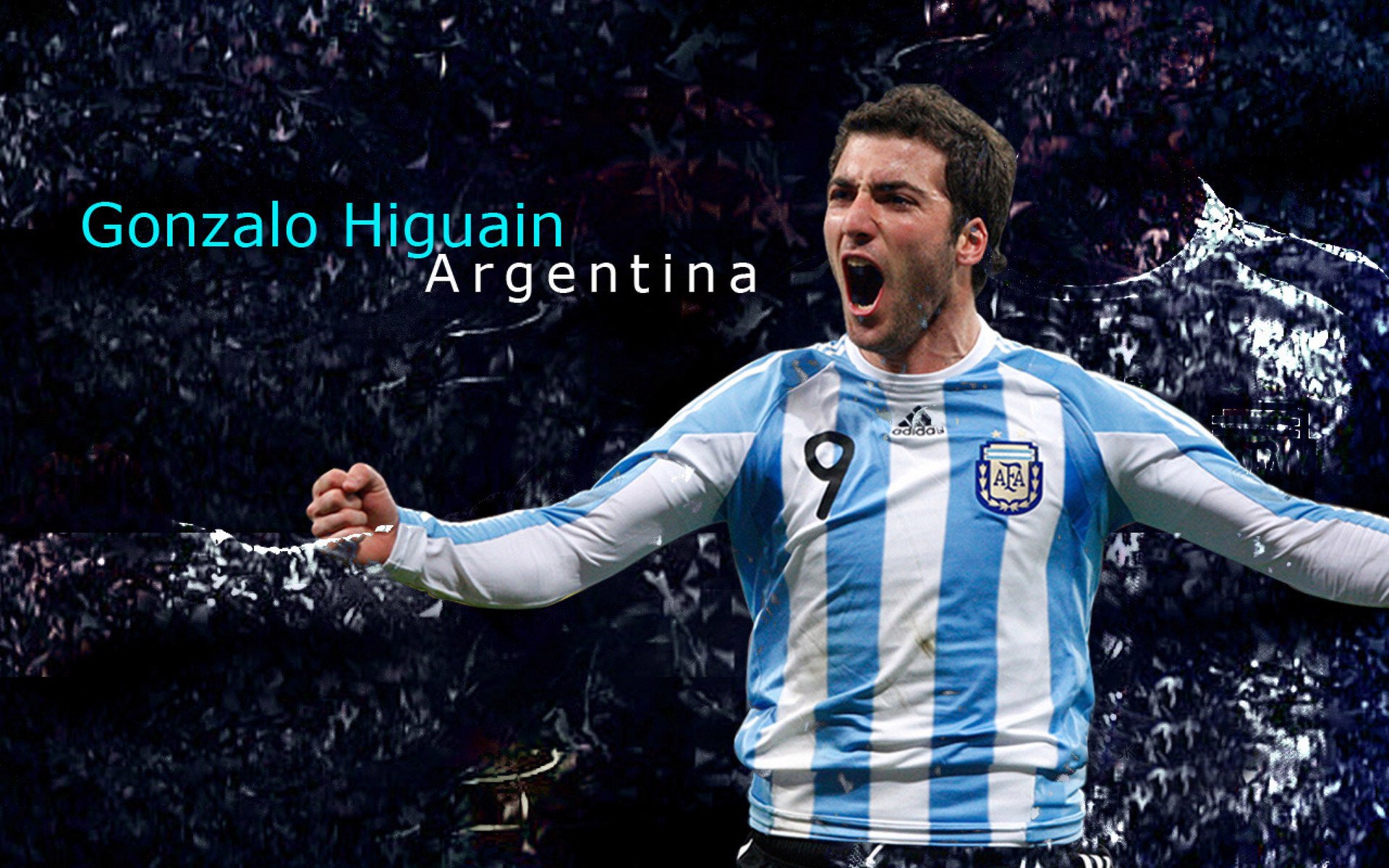 霍勒迪之夜，当篮球之火照亮美加墨的星空